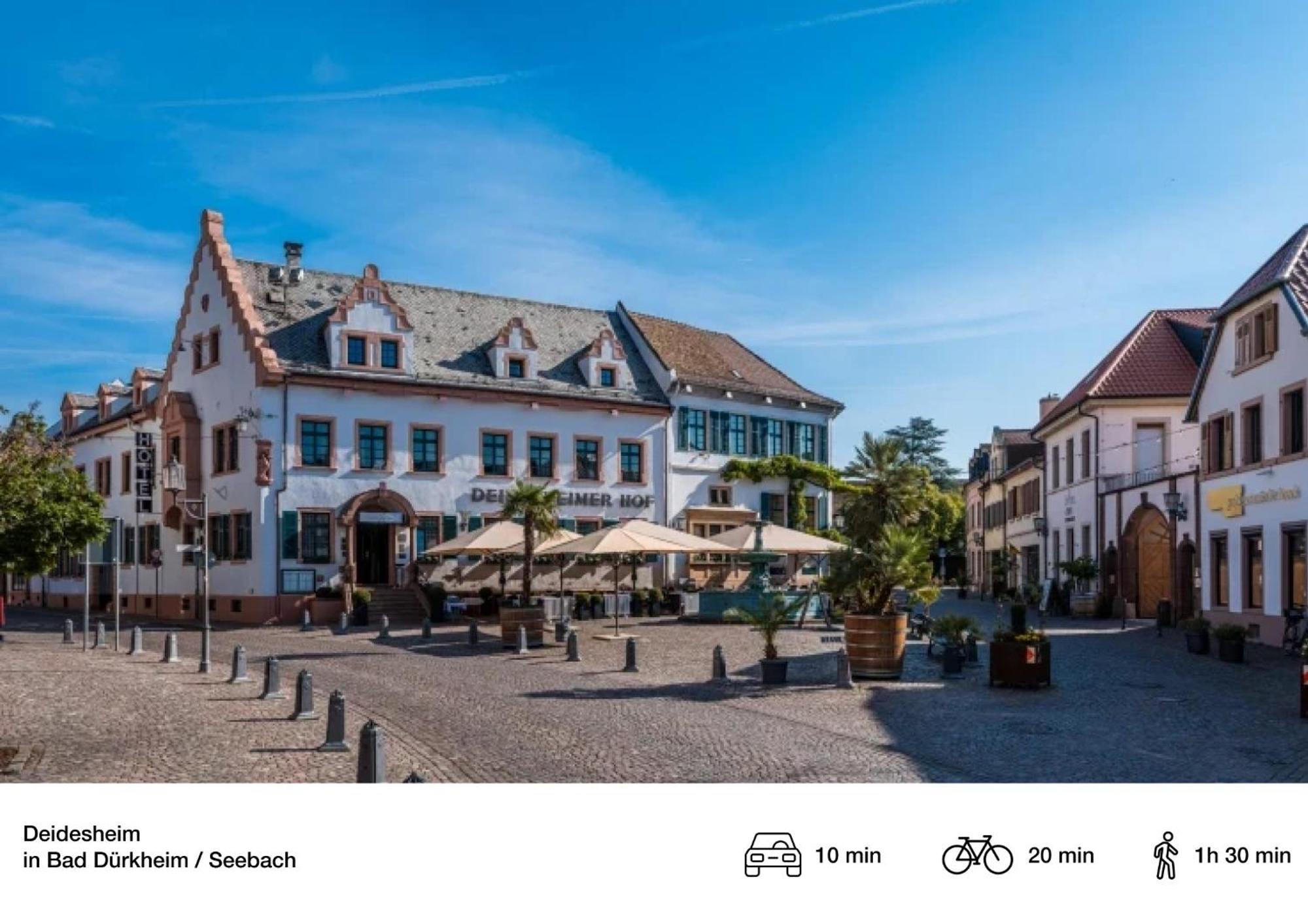 Privates Ferienhaus Mit Pool & Whirlpool Zentral In Bad Dürkheim Zewnętrze zdjęcie